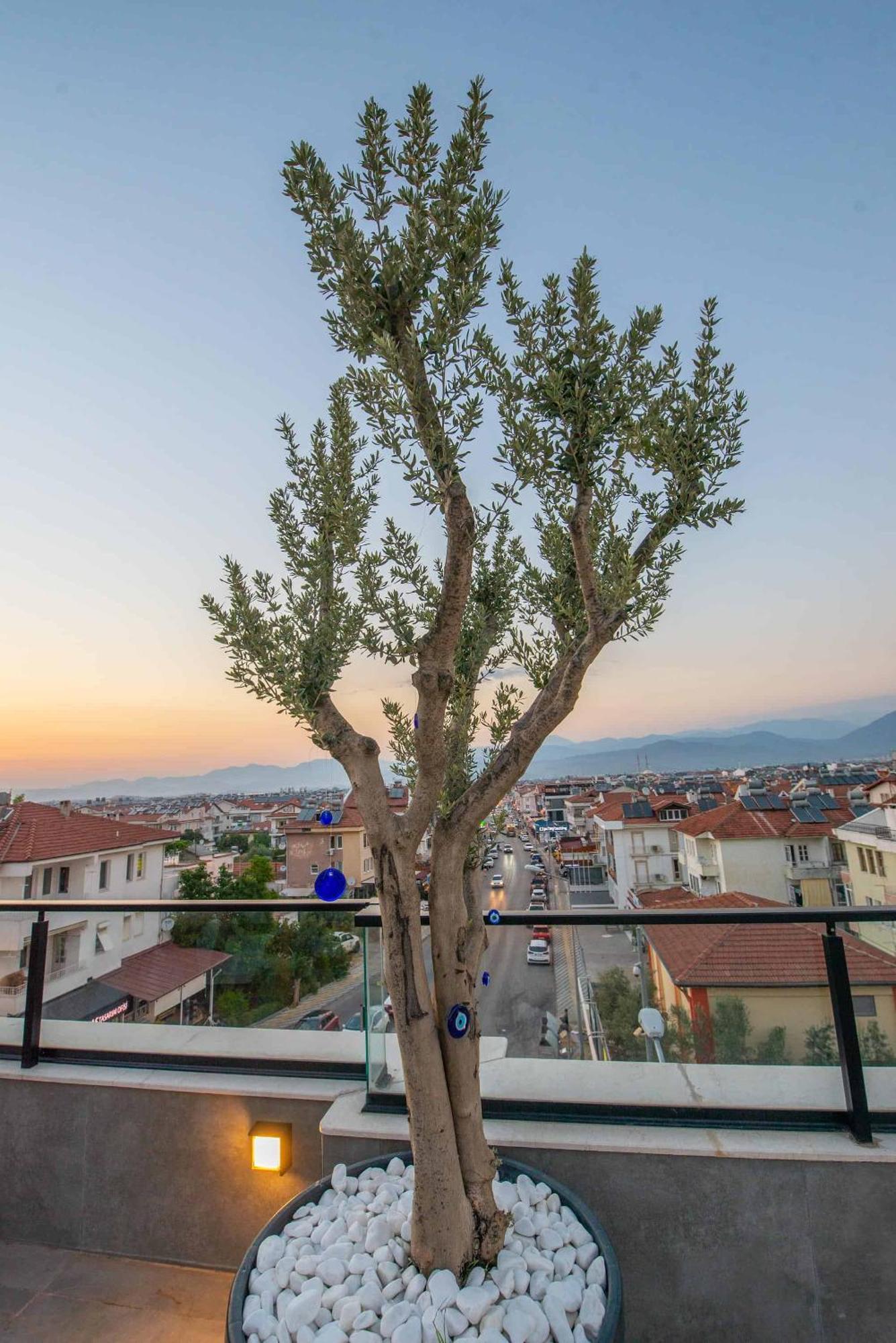 Belci City House Fethiye Exterior photo